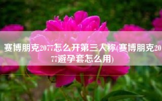 赛博朋克2077怎么开第三人称(赛博朋克2077避孕套怎么用)