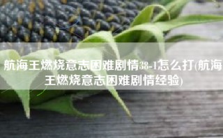 航海王燃烧意志困难剧情38-1怎么打(航海王燃烧意志困难剧情经验)