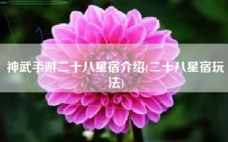 神武手游二十八星宿介绍(二十八星宿玩法)