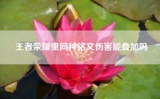 王者荣耀里同种铭文伤害能叠加吗