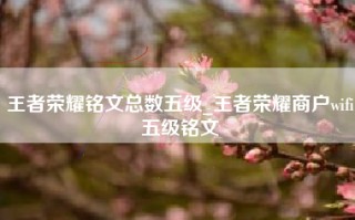 王者荣耀铭文总数五级_王者荣耀商户wifi五级铭文