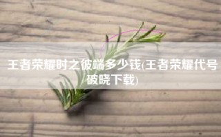 王者荣耀时之彼端多少钱(王者荣耀代号破晓下载)