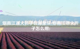 烟雨江湖火折子在哪里买(烟雨江湖火折子怎么用)