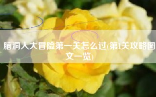 脑洞人大冒险第一关怎么过(第1关攻略图文一览)