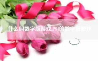 什么叫数字版游戏,PS4的数字版游戏