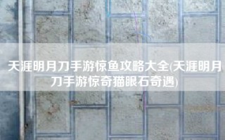 天涯明月刀手游惊鱼攻略大全(天涯明月刀手游惊奇猫眼石奇遇)