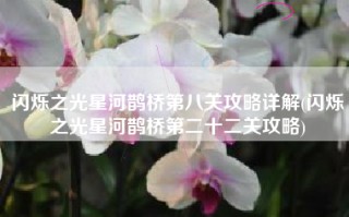 闪烁之光星河鹊桥第八关攻略详解(闪烁之光星河鹊桥第二十二关攻略)