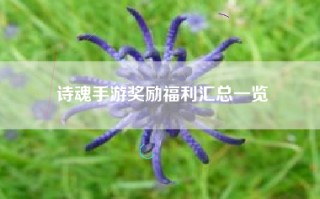 诗魂手游奖励福利汇总一览