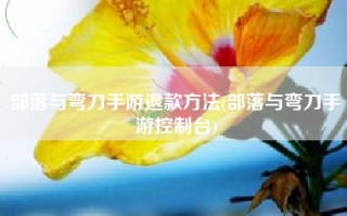 部落与弯刀手游退款方法(部落与弯刀手游控制台)