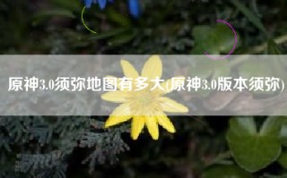 原神3.0须弥地图有多大(原神3.0版本须弥)