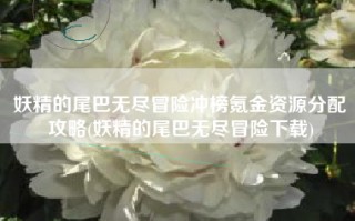 妖精的尾巴无尽冒险冲榜氪金资源分配攻略(妖精的尾巴无尽冒险下载)