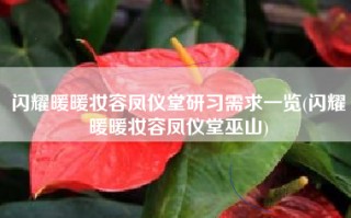 闪耀暖暖妆容凤仪堂研习需求一览(闪耀暖暖妆容凤仪堂巫山)