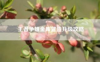 王者争雄金库建造升级攻略