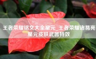 王者荣耀铭文大全星元_王者荣耀诸葛亮星元皮肤武器特效