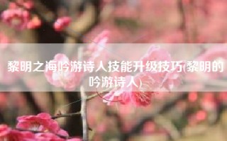 黎明之海吟游诗人技能升级技巧(黎明的吟游诗人)