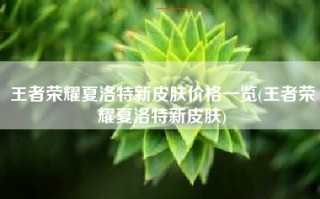 王者荣耀夏洛特新皮肤价格一览(王者荣耀夏洛特新皮肤)