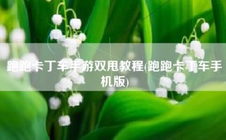 跑跑卡丁车手游双甩教程(跑跑卡丁车手机版)