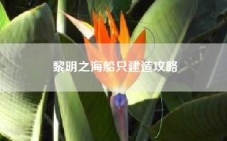 黎明之海船只建造攻略