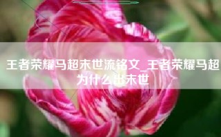 王者荣耀马超末世流铭文_王者荣耀马超为什么出末世