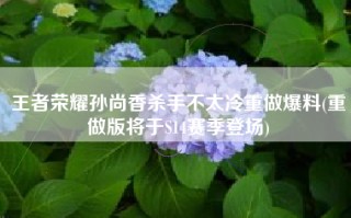 王者荣耀孙尚香杀手不太冷重做爆料(重做版将于S14赛季登场)