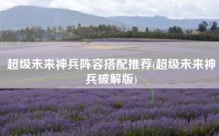 超级未来神兵阵容搭配推荐(超级未来神兵破解版)