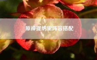 原神提纳里阵容搭配