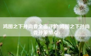 鸿图之下孙尚香全面评价(鸿图之下孙尚香孙策加点)