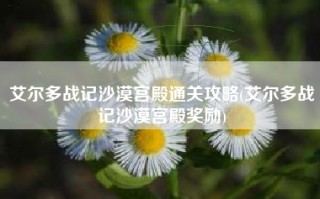 艾尔多战记沙漠宫殿通关攻略(艾尔多战记沙漠宫殿奖励)