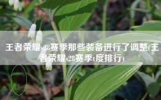 王者荣耀s28赛季那些装备进行了调整(王者荣耀s28赛季t度排行)