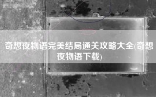 奇想夜物语完美结局通关攻略大全(奇想夜物语下载)