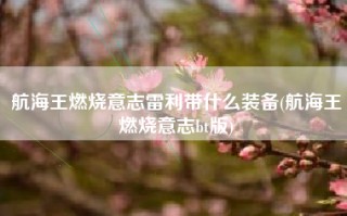 航海王燃烧意志雷利带什么装备(航海王燃烧意志bt版)