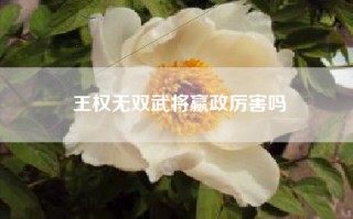 王权无双武将嬴政厉害吗