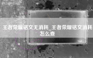 王者荣耀铭文无消耗_王者荣耀铭文消耗怎么查