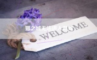 猫之城无法进入游戏