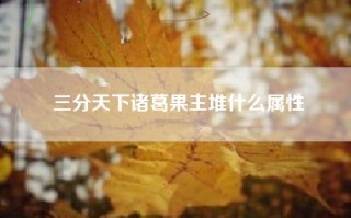 三分天下诸葛果主堆什么属性