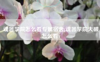 魂器学院怎么看专属宿舍(魂器学院大破怎么看)