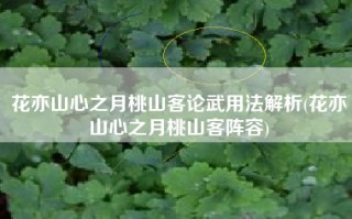 花亦山心之月桃山客论武用法解析(花亦山心之月桃山客阵容)