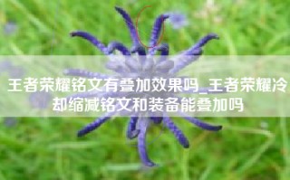 王者荣耀铭文有叠加效果吗_王者荣耀冷却缩减铭文和装备能叠加吗