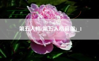第五人格(第五人格官服)_1