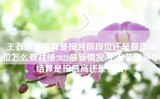 王者荣耀结算是按当前段位还是最高段位怎么查战绩2022最新情况(王者荣耀赛季结算是按最高还是当前)