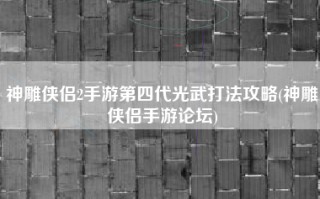 神雕侠侣2手游第四代光武打法攻略(神雕侠侣手游论坛)