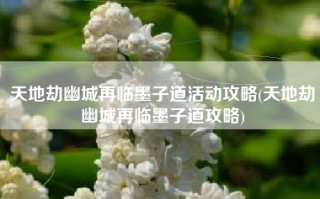 天地劫幽城再临墨子道活动攻略(天地劫幽城再临墨子道攻略)