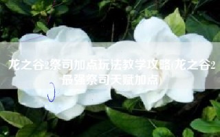 龙之谷2祭司加点玩法教学攻略(龙之谷2最强祭司天赋加点)