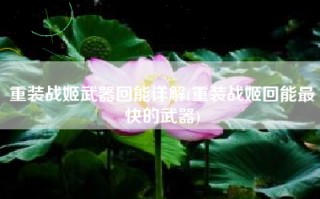 重装战姬武器回能详解(重装战姬回能最快的武器)