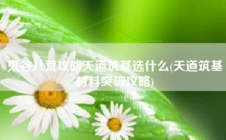 鬼谷八荒攻略天道筑基选什么(天道筑基材料突破攻略)