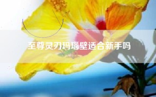 至尊灵刃玛瑙壁适合新手吗