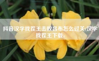 抖音汉字找茬王击败吕布怎么过关(汉字找茬王下载)