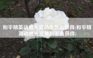 和平精英动感光波动作怎么获得(和平精英动感光波舞蹈怎么获得)