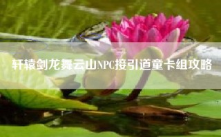 轩辕剑龙舞云山NPC接引道童卡组攻略