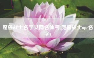 魔兽战士名字女网名仙气(魔兽战士npc名字)